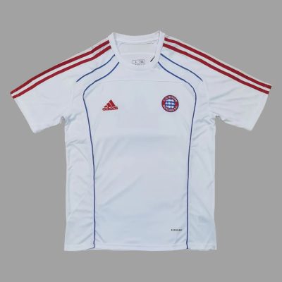 25/26 Bayern Munich Urban Purist T-Shirt