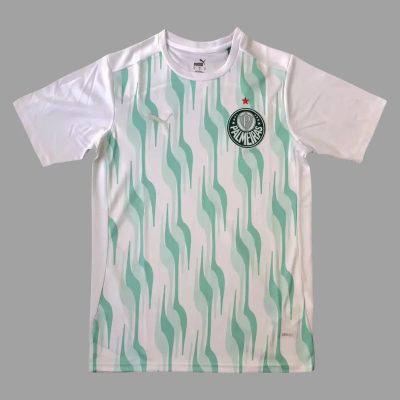 2025 Palmeiras Training Jersey