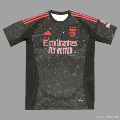 24/25 Benfica Away Soccer Jersey