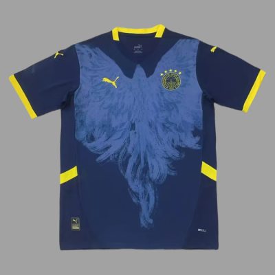 24/25 Fenerbahce Fourth Soccer Jersey