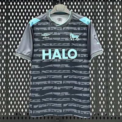 25/26 Ipswich City Third Soccer Jersey