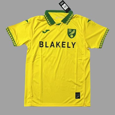 25/26 Norwich City Home Soccer Jersey
